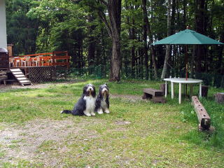 �h�b�O����