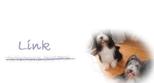 �����N�W